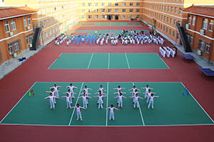北京东方红学校国际高中入学条件