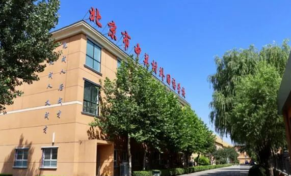北京中关村外国语学校2023年招生计划及学费