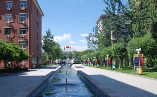 2023年北京中加学校招生入学