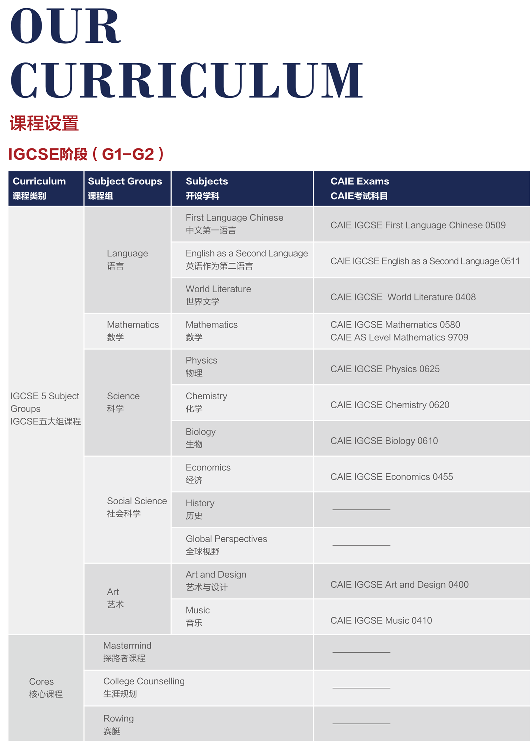 上海德英乐学院开设哪些课程？
