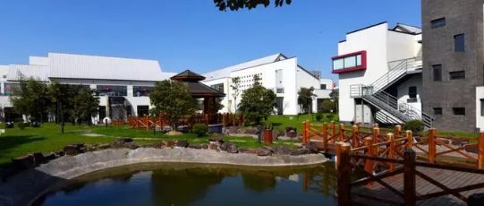 上海美达菲学校2020年招生入学及考试时间