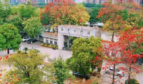 2024年石门中学国际课程中心招生简章及学费