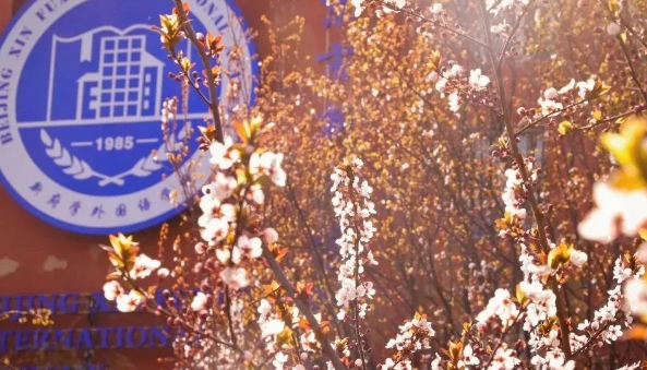 北京市新府学外国语学校