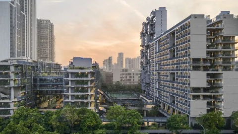 深圳国际学校第一梯队学校是哪些？