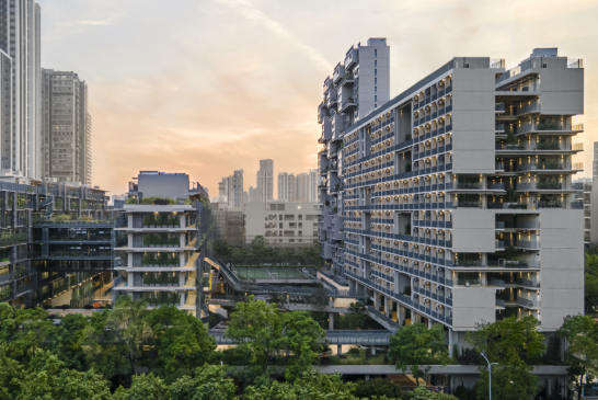 深圳国际交流书院