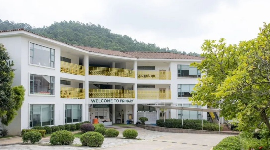 广州誉德莱外籍人员子女学校2024年招生入学