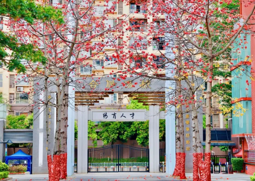 香江中学国际部2024级高一新生报到须知