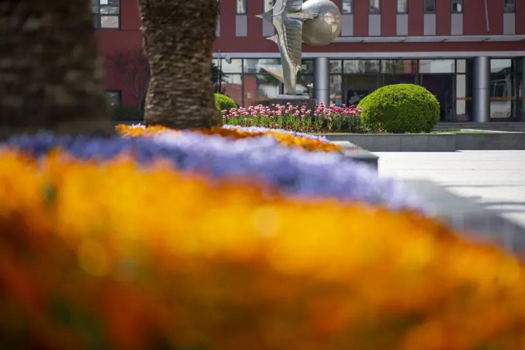 上海IB国际学校有哪些推荐的学校？一、二梯队IB学校大盘点！
