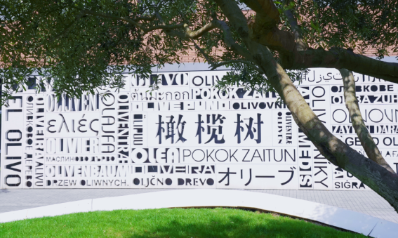 杭州橄榄树学校