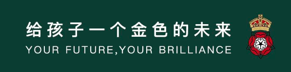 南京金地未来学校喜报｜A-level大考放榜，金地学子荣耀而归