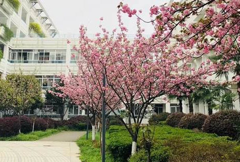 南京师范大学附属实验学校国际部招生简章
