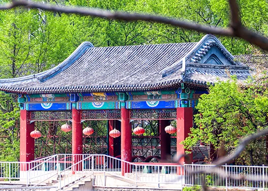 橘郡国际学校