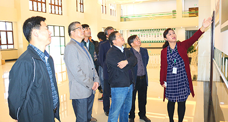 嘉兴、平湖两级政府领导冒雨莅临枫叶调研指导