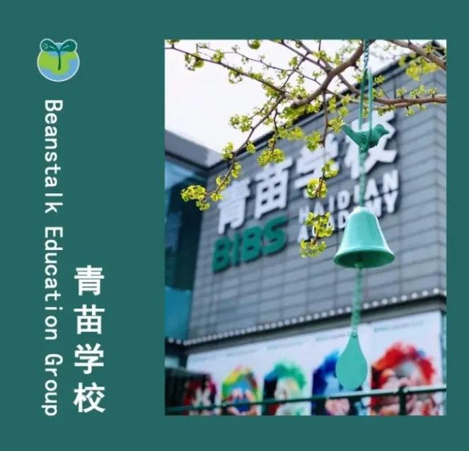北京青苗学校国际部招生简章
