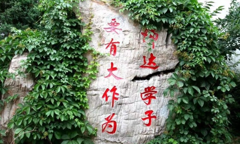 北京市师达中学国际部