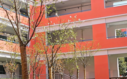 上海诺科学校