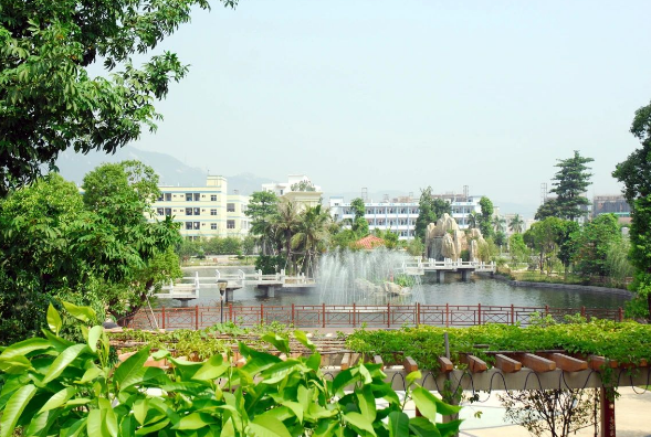 深圳市富源学校