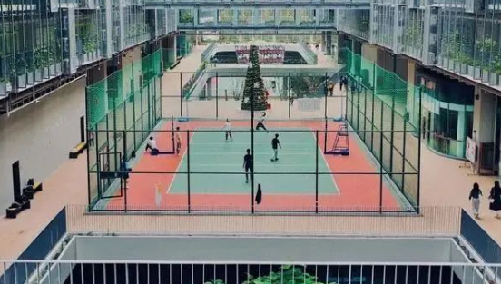 2024年深圳国际交流学院基本招生信息