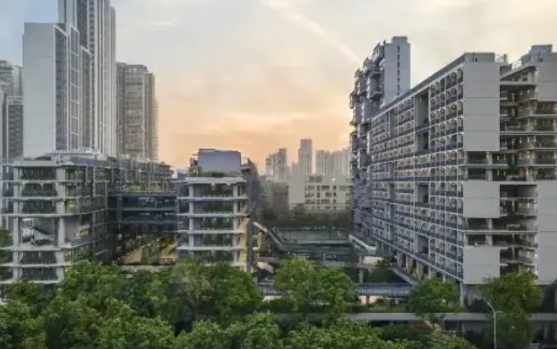 深圳国际交流书院2025年招生要求及招生年级