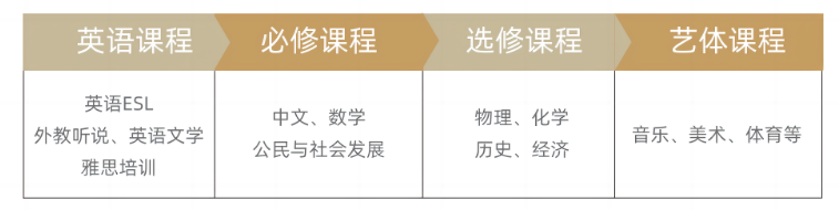 上海市民办新虹桥中学香港DSE国际课程